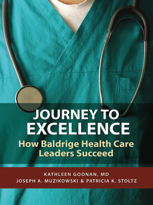 cover image of Journey to Excellence